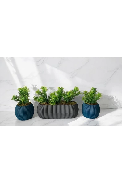 DDPEST 3 ' lü Dekoratif Yosunlu Yapay Çimli Saksı Takımı Canlı / Yapay Çiçek Saksıları