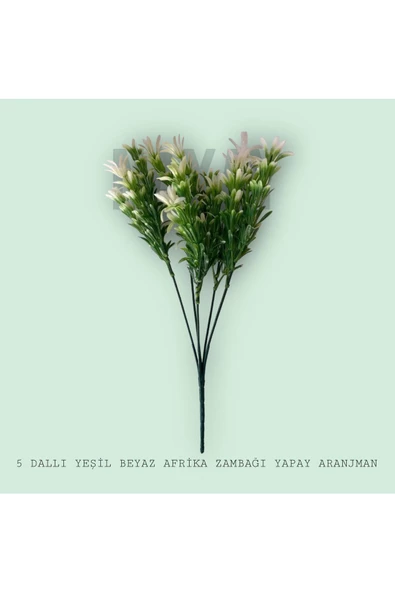 DDPEST 5 DALLI YEŞİL BEYAZ AFRİKA ZAMBAĞI YAPAY SAKSI AKVARYUM ARANJMANI - 2