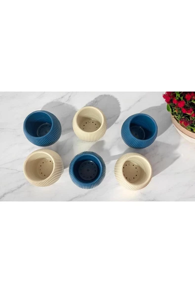 DDPEST 6 Adet Mini Boy Bej Ve Gece Mavisi Mercan Çizgili Saksı Canlı/Yapay Çiçek Saksılığı Balkon Saksısı - 2
