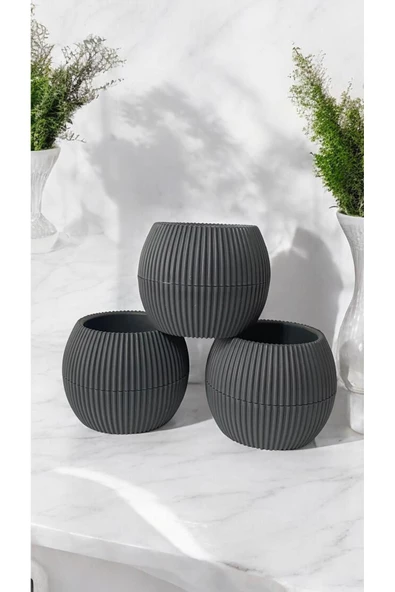 DDPEST 3 Adet Mini Boy Gri Mercan Çizgili Saksı Canlı/Yapay Çiçek Saksılığı Balkon Saksısı - 2