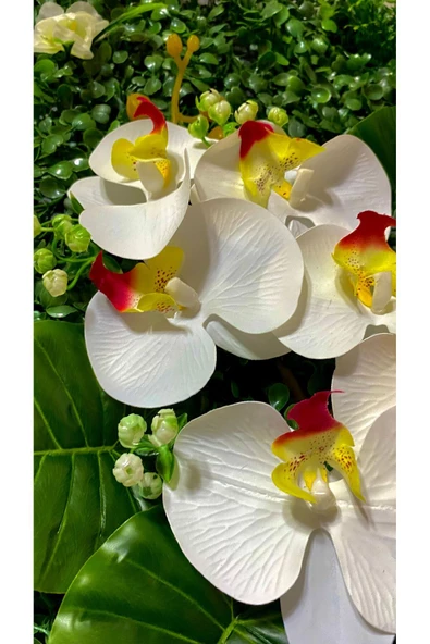 DDPEST Yapay Islak Doku Beyaz Orkideli 40x60 Yeşil Sık Doku Panel Şimşir k - 3