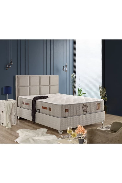 İmaj SİLVER LİNE BAZA+BAŞLIK TEK KİŞİLİK 100x200 cm (YATAK DAHİL DEĞİLDİR) - 2