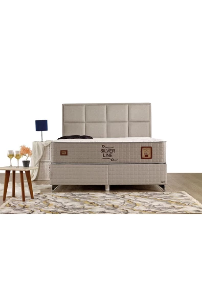 İmaj Silver Line Set (baza+yatak+başlık) Tek Kişilik 90x200 Cm - 2