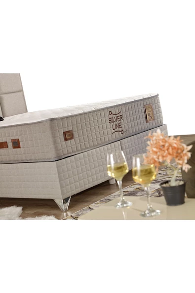 İmaj Silver Line Baza Çift Kişilik 200x200 Cm (YATAK VE BAŞLIK FİYATA DAHİL DEĞİLDİR) - 3