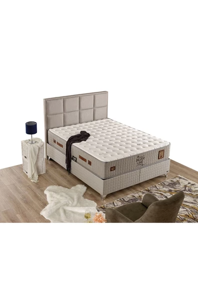 İmaj Silver Line Yatak Çift Kişilik 160x200 Cm (BAŞLIK VE BAZA FİYATA DAHİL DEĞİLDİR)