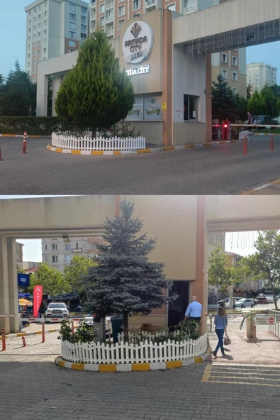 Dekoratif Plastik Bahçe ve Peyzaj Çiti 1 ADET ÇİT (Y: 50 CM / G: 55 CM) TOPRAK AYAKLI - 8