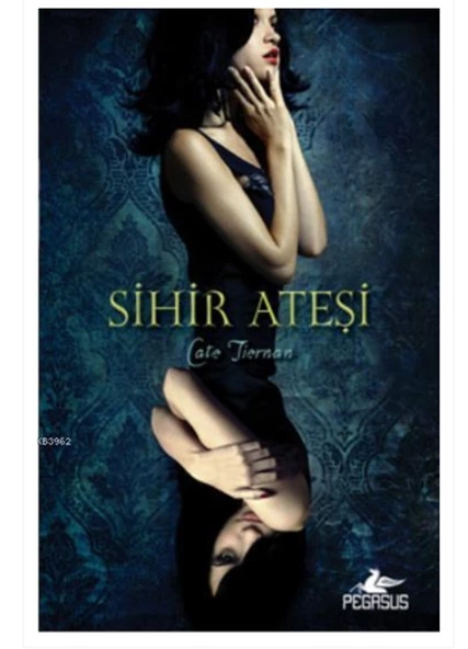 Pegasus - Sihir Ateşi Cate Tiernan