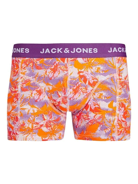 Jack Jones Damıan Erkek Boxer 12253578