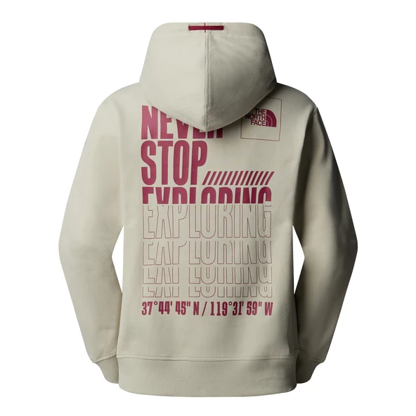 The North Face Erkek COORDINATES KAPÜŞONLU ÜST NF0A89D91I41 - Resim 2