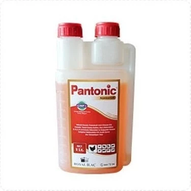 ROYAL - PANTONİC SIVI VİTAMİN 1 LT (1 ADET) - 1