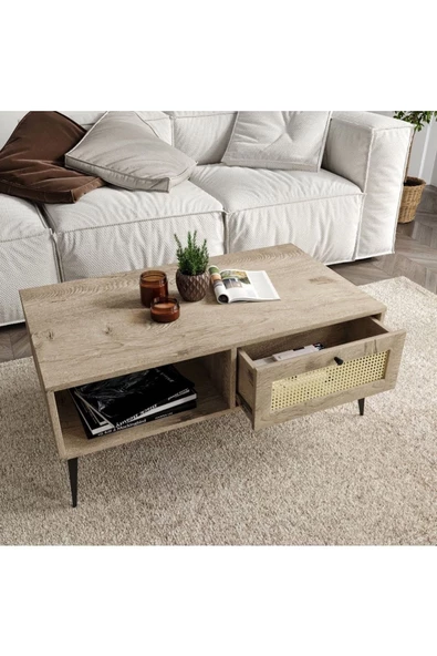 ROSEPAL Mobilya Diamond Çekmeceli 1 Bölmeli Hazeran Detaylı Orta Sehpa - 3