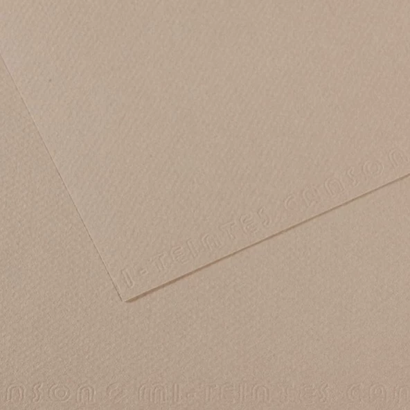 Canson Fon Kartonu (Dokulu) Mı-Teıntes Sh Canmt 50x65 160 Gr Grey 122-10-LI-PKT