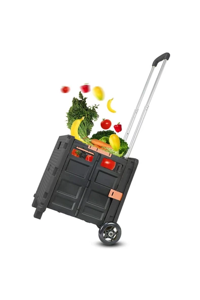 BALATLI Katlanabilir Portatif Market ve Pazar Taşıma Arabası 40 kg - 3