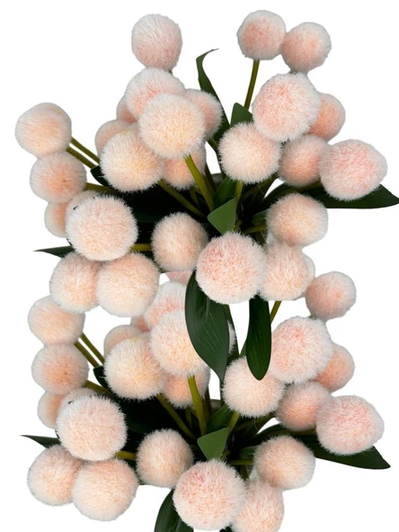 Nettenevime Yapay Çiçek Şampanya Rengi Pompon Çiçeği Dekoratif Yapay Çiçek 7 Toplu 30*20cm - Resim 3