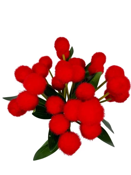 Yapay Çiçek Kırmızı Pompon Çiçeği Dekoratif Yapay Çiçek 30*20cm - 5