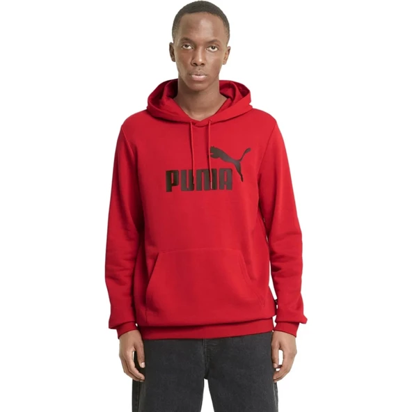 Puma ESS Big Logo Hoodie Erkek Sweatshirt 58668811