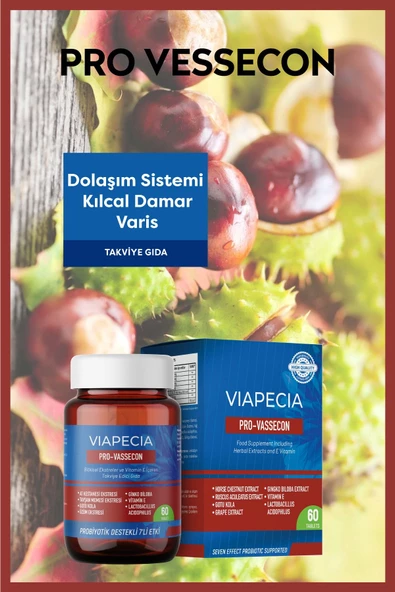 VİAPECİA Vıapecıa Pro-vassecon Dolaşım Sistemi, Kılcal Damar, Ağrısı 60 Tablet - 2