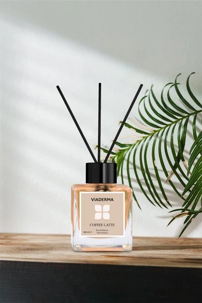 VİADERMA Kare Şişe Kahve Esansı Bambu Çubuklu Oda Kokusu 100 ml - 2