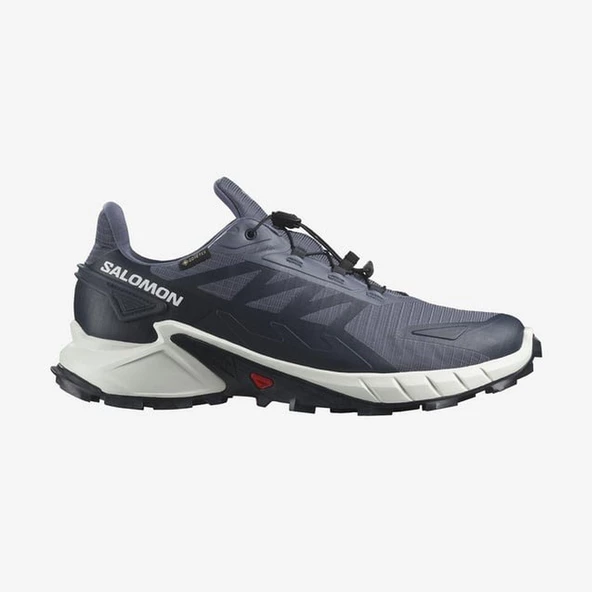 Salomon SUPERCROSS 4 GTX Erkek Ayakkabı L47462300