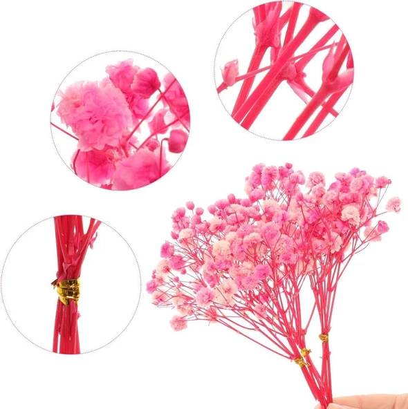 Nettenevime 10lu Set Kuru Çiçek Doğal PEMBE KOYU Cipso Şoklanmış Bozulmaz - Resim 4
