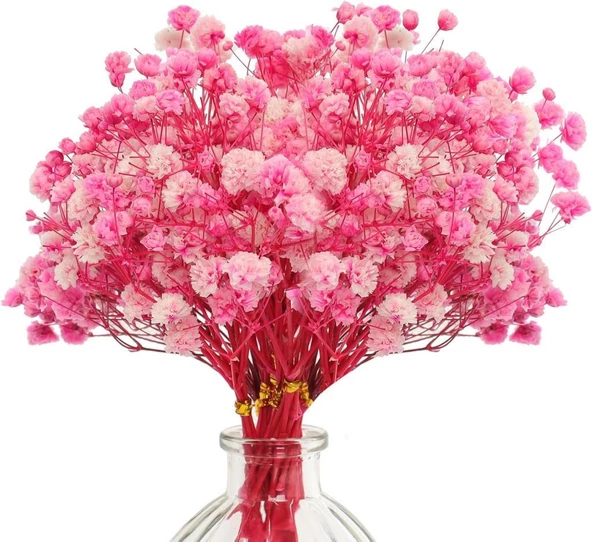 Nettenevime 10lu Set Kuru Çiçek Doğal PEMBE KOYU Cipso Şoklanmış Bozulmaz - Resim 2