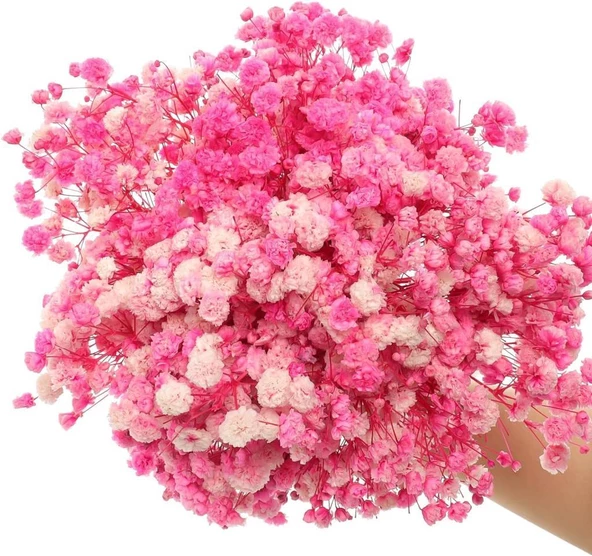 Nettenevime 10lu Set Kuru Çiçek Doğal PEMBE KOYU Cipso Şoklanmış Bozulmaz - Resim 6