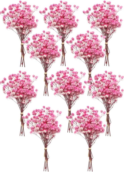 10lu Set Kuru Çiçek Doğal PEMBE KOYU Cipso Şoklanmış Bozulmaz
