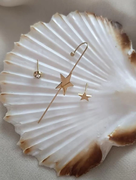 Kıkırdak Küpe Kararmaz Çelik 316L Lüks Yıldız Taşlı Kadın Küpe - 3