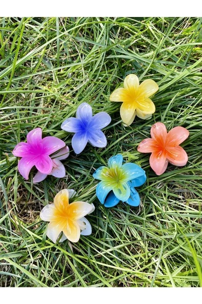 Küçük Boy 6'lı Lotus Çiçeği Mandal Toka 4.5 Cm - 2