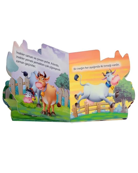 Ben Kimim? İnek Parıltı Yayınları - Resim 2