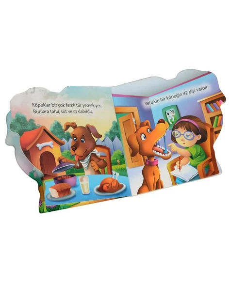 Ben Kimim? Köpek Parıltı Yayınları - Resim 2