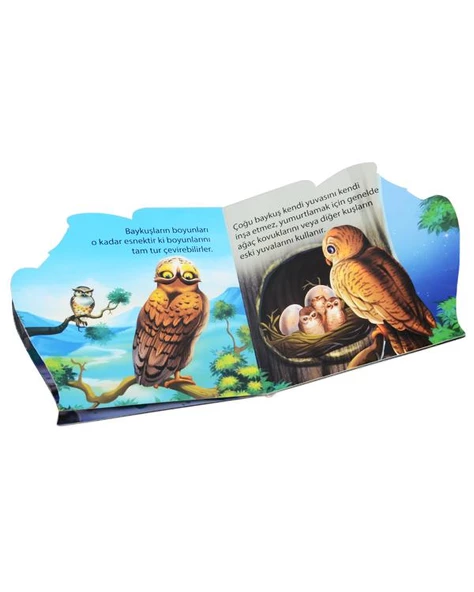 Ben Kimim? Baykuş Parıltı Yayınları - Resim 2