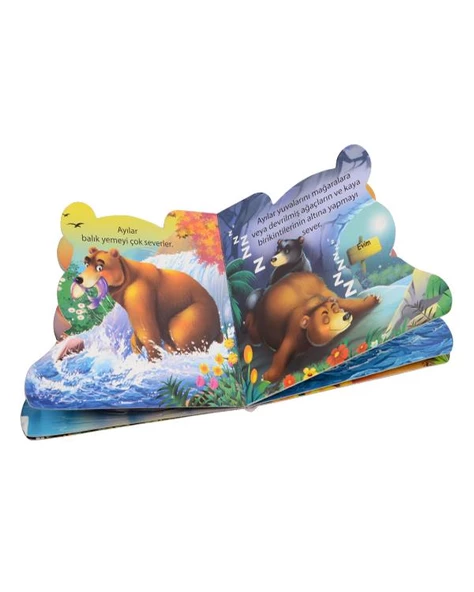 Ben Kimim? Ayı Parıltı Yayınları - Resim 2