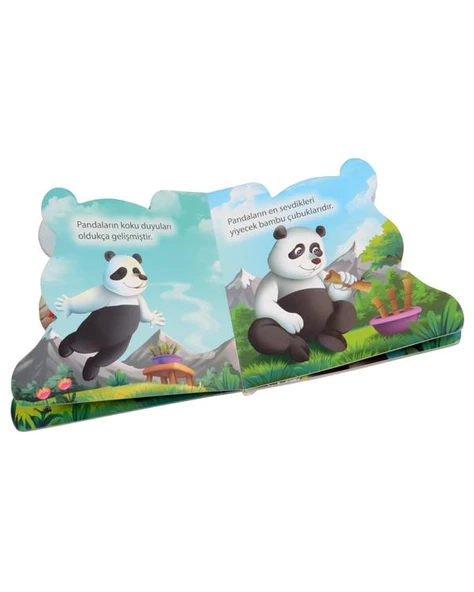 Ben Kimim? Panda Parıltı Yayınları - Resim 2