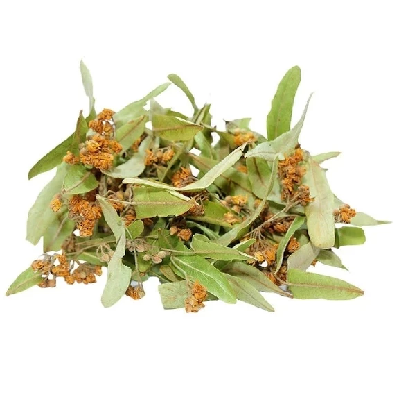 Ihlamur Yaprak 40 Gr (Paket-Bitki) 1Adet, Lokman Aktar - 2