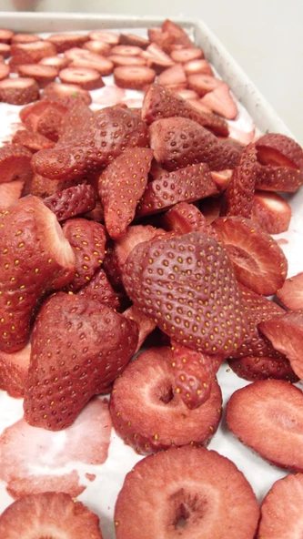 SagaFresh Dondurularak Kurutulmuş Çilek Dilimleri 1000g - 3