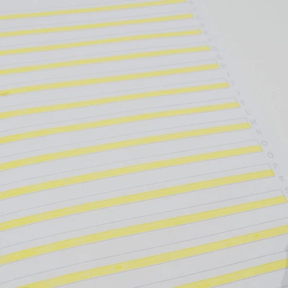 Çınar A4 30 Yaprak Plastik Kapak Dikişli Güzel Yazı Defteri (Yeni Müfredata Uygun) (24029) - 2