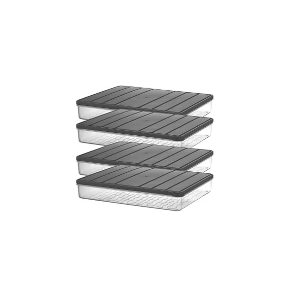 4 Adet 2,25 Lt. Nora Organizer Buzdolabı Buzluk Düzenleyici Saklama Kabı ürün görseli 1