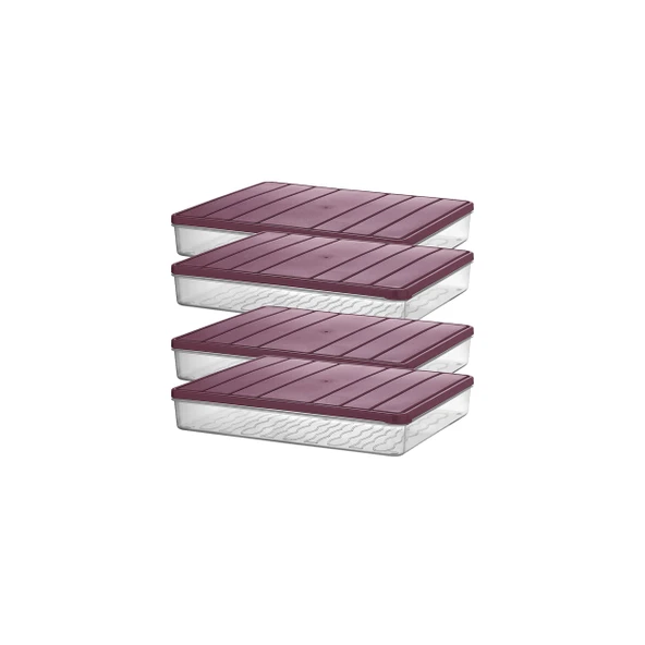 4 Adet 2,25 Lt. Nora Organizer Buzdolabı Buzluk Düzenleyici Saklama Kabı - Resim 3