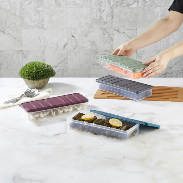 Selka Nora 8 Adet 1 Lt. Saklama Kabı - Resim 2