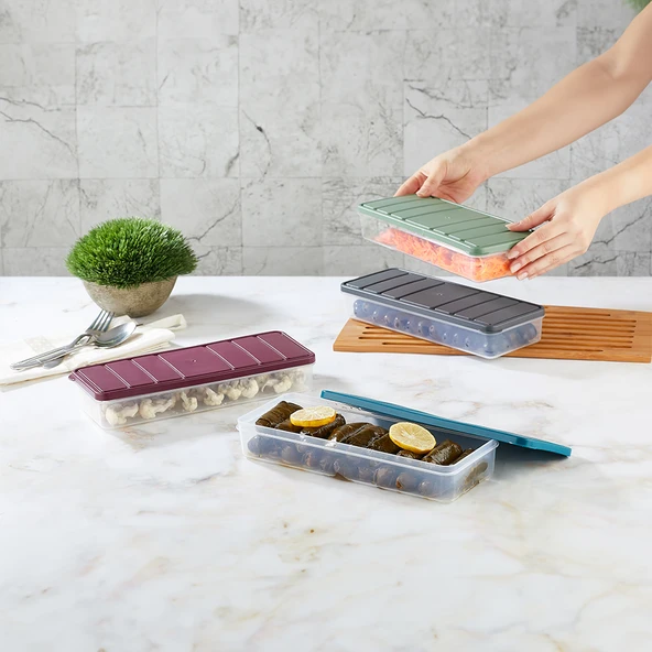 Selka Nora 6 Adet 2,25 Lt. Saklama Kabı - Resim 11