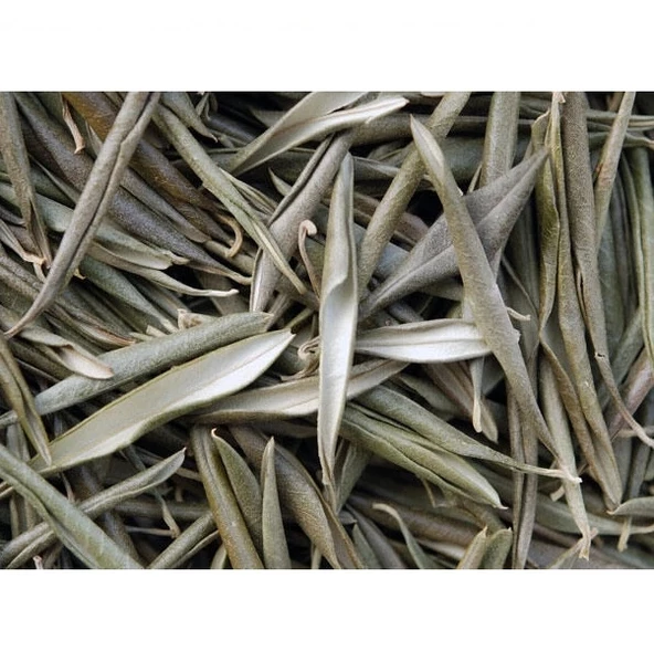 Zeytin Yaprağı 40 Gr (Paket-Bitki) 1Adet - 2
