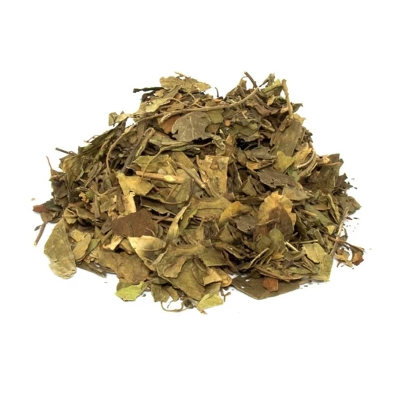 Cinnema Gimneya-Cimnema Otu 30 Gr, Lokman Aktar