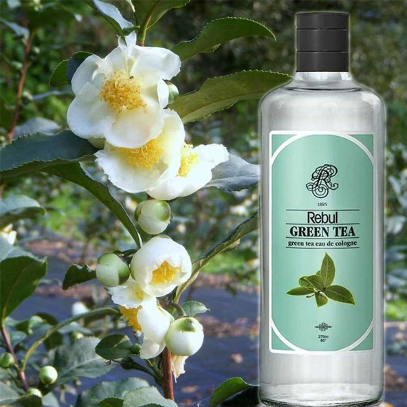 Rebul Green Tea 250 ml Kolonya - 3