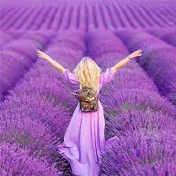 Rebul Lavanda 100 ml Sprey Kolonya - 2