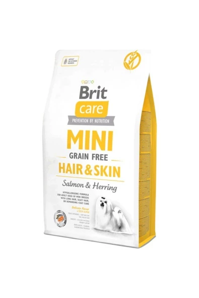 Mini Hair Skin Somonlu Tahılsız Küçük Irk Köpek Maması 2 Kg