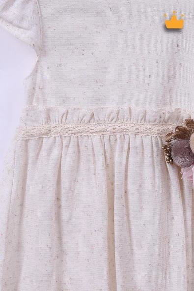 Babyhola Kız Bebek Bayramlık Çiçek Detaylı Elbise 229203 - 10