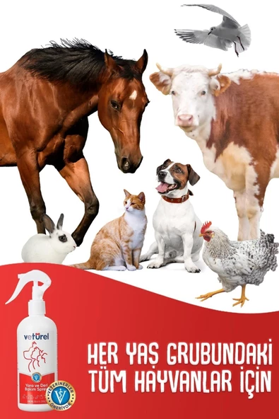 Kedi Köpek Yara Deri Günlük Bakımı Saf Hipokloröz Yanık Kızarıklık Tahriş Hot Spot Yara Spreyi Refil - 3