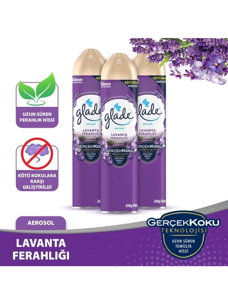 Glade Aerosol Oda Kokusu Lavanta 3 'lü Set