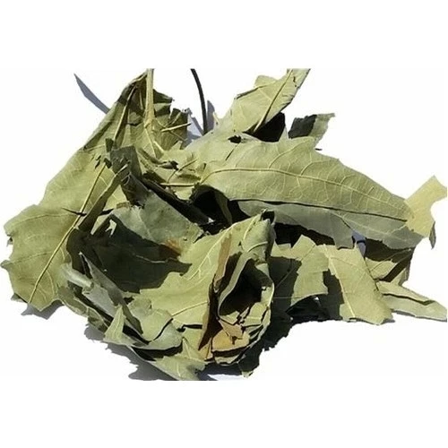 Lokman Aktar Çınar Yaprağı 20 Gr (Paket-Bitki) 1Adet